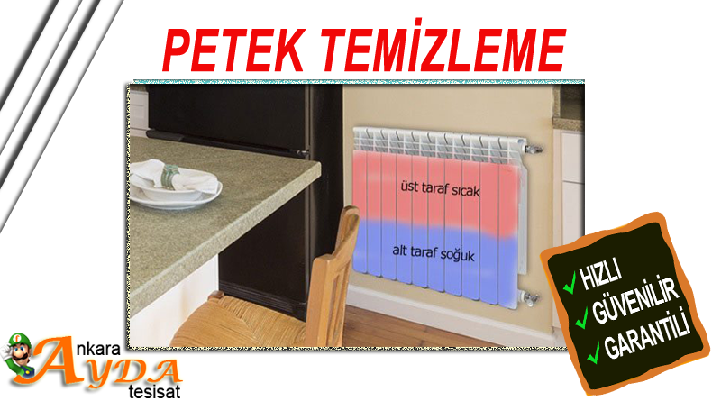 gölbaşı petek temizliği