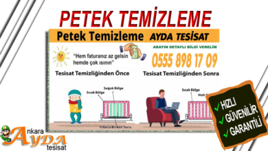 Bahçelievler Petek Temizleme